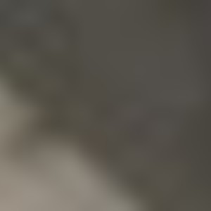 carlienvandekreeke217605