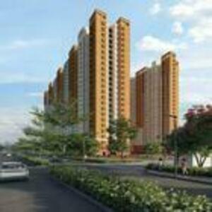 prestigeevergreenprice