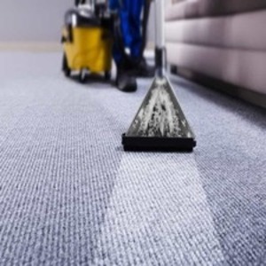haywardcarpetcleaning