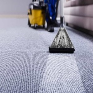richmondcarpetcleaning