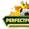 perfectnailssvl