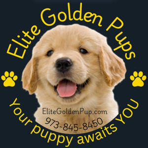 elitegoldenpups