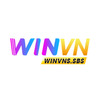 winvnssbs
