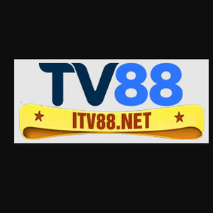 tv88net