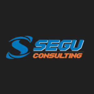 seguconsulting