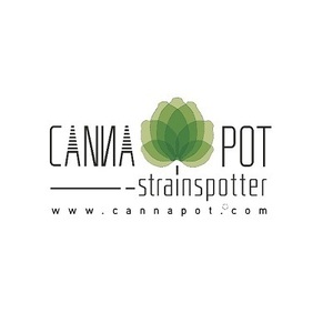 cannapotwebshops