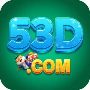 53d53dcom1