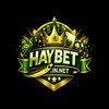 haybetinnet
