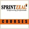 sprintzeal112