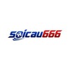 soicau666cfd