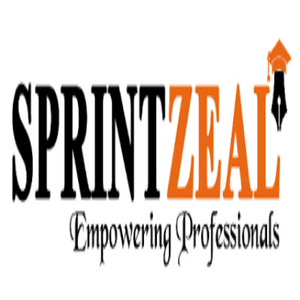 sprintzeal_training