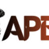 apexhaircut