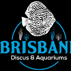 aquariumhaven